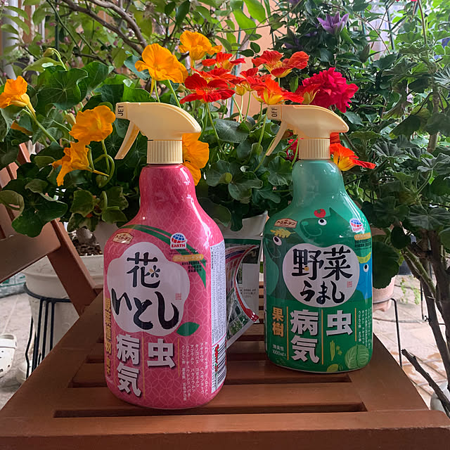 Aqettyさんの部屋