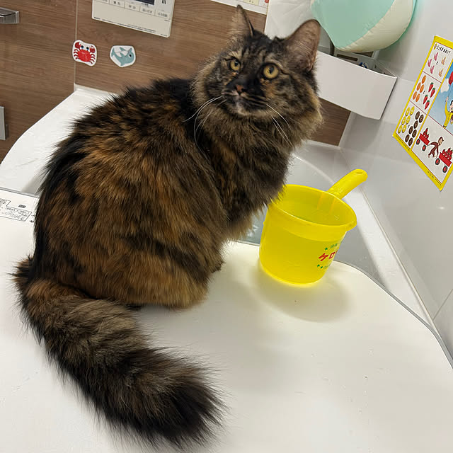 mikomaruさんの部屋