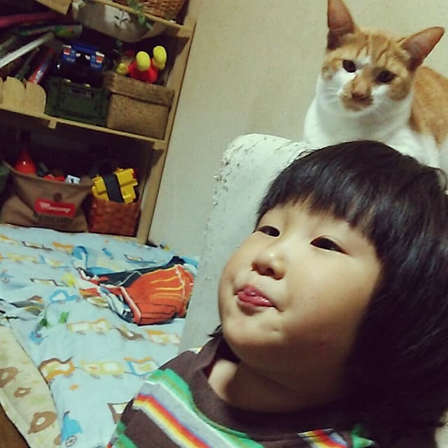 kamechanさんの実例写真