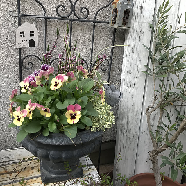 tanomamaさんの実例写真