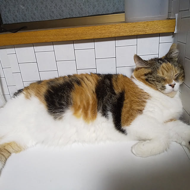 yukieさんの実例写真