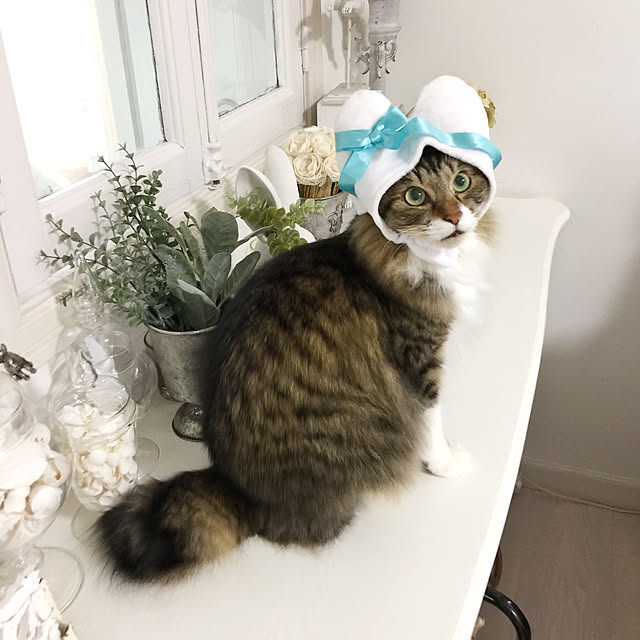 yuchiさんの実例写真