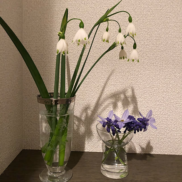 memekoさんの実例写真