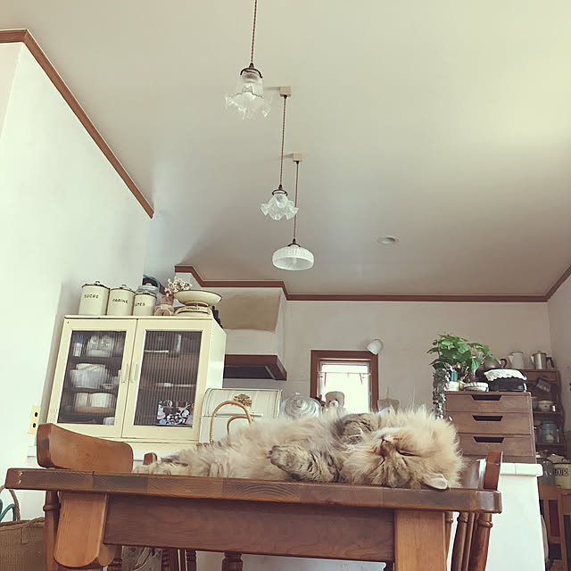 teddyさんの実例写真