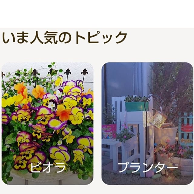 Miyumamaさんの実例写真