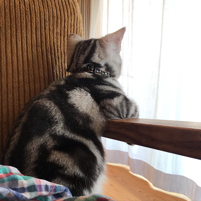 Aさんの実例写真