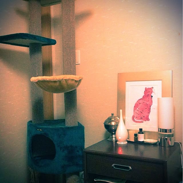 maromikiさんの実例写真