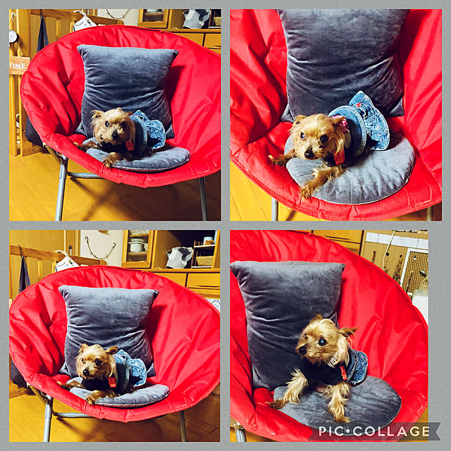 CoCo0617さんの実例写真
