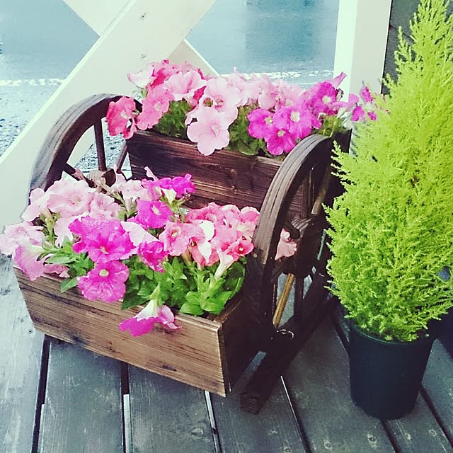 naturalcountryさんの実例写真