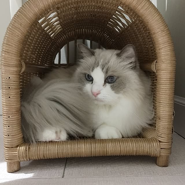 yuchiさんの実例写真