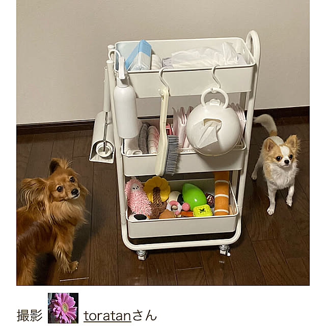 toratanさんの実例写真