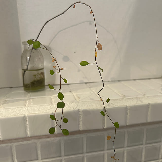kさんの部屋