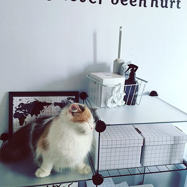 mikaさんの実例写真