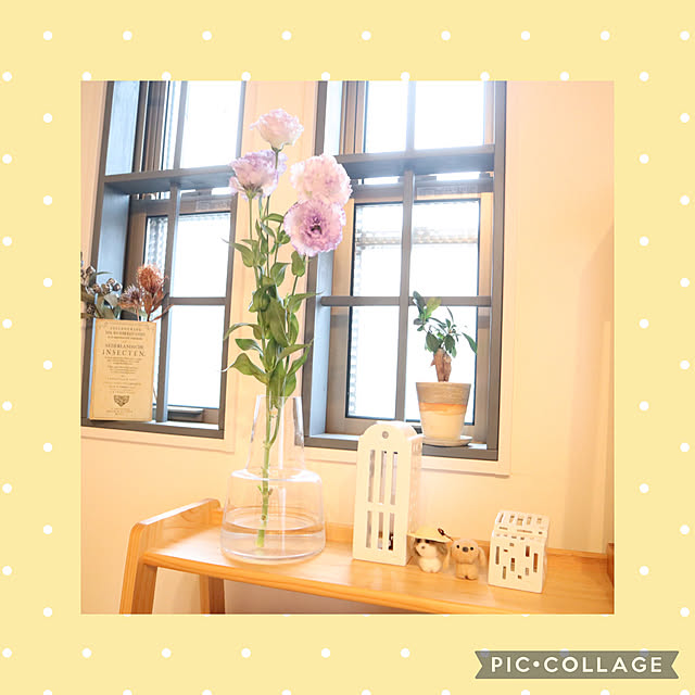 natsumiさんの実例写真