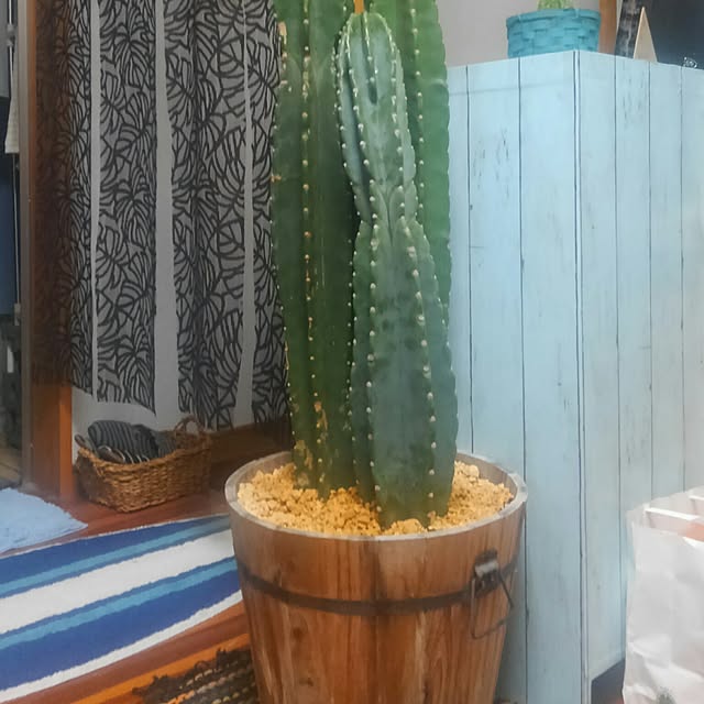 K.Kさんの実例写真