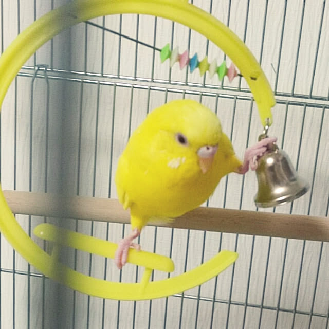 satoriさんの実例写真