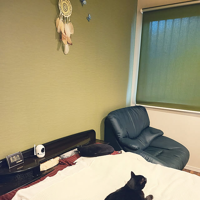 zenoさんの実例写真