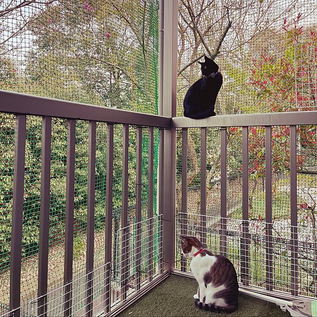 jijiさんの実例写真