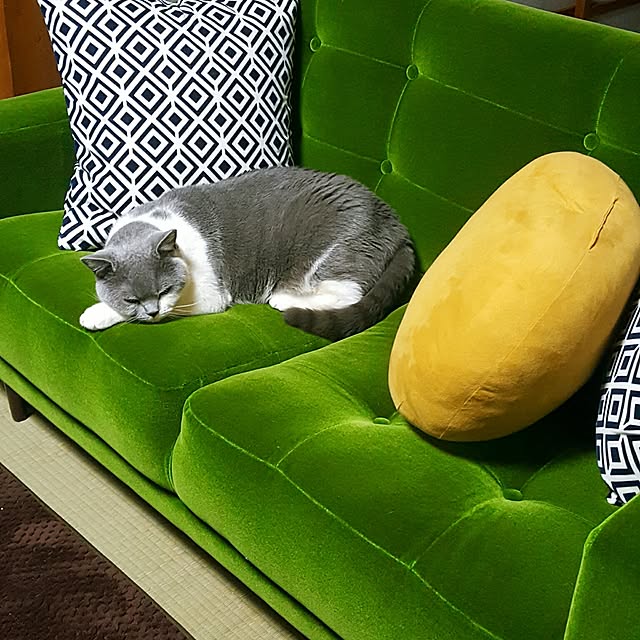 rhuさんの実例写真