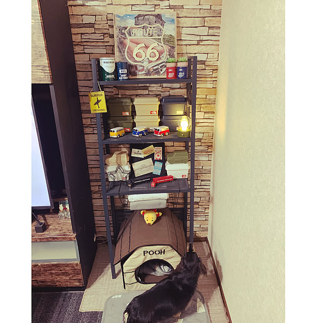 akipuさんの実例写真