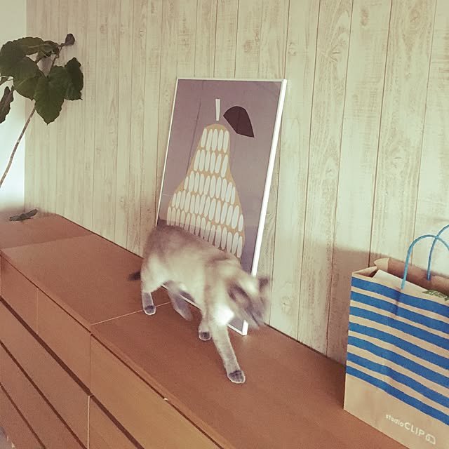 niko-25さんの実例写真