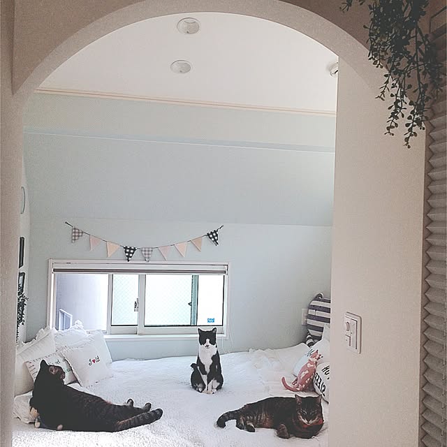 lovecatさんの実例写真