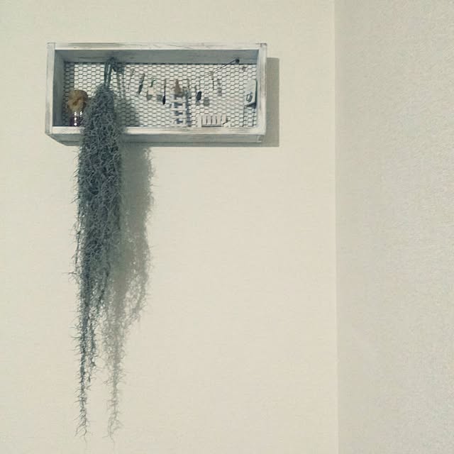 cozylifeさんの実例写真
