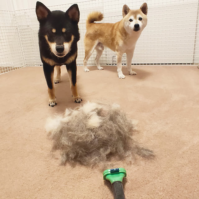 ponhanaさんの実例写真