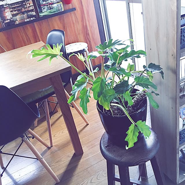 andFIELDS_homeさんの実例写真
