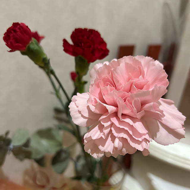 Sayasseさんの実例写真