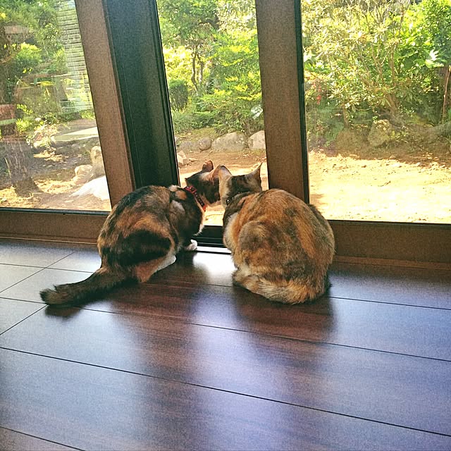 yokopiさんの実例写真