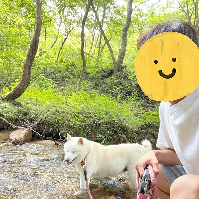 実例写真