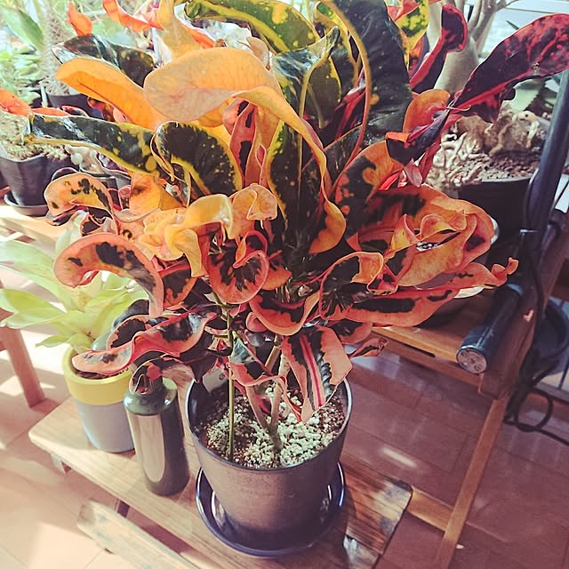 ot-gardenさんの部屋