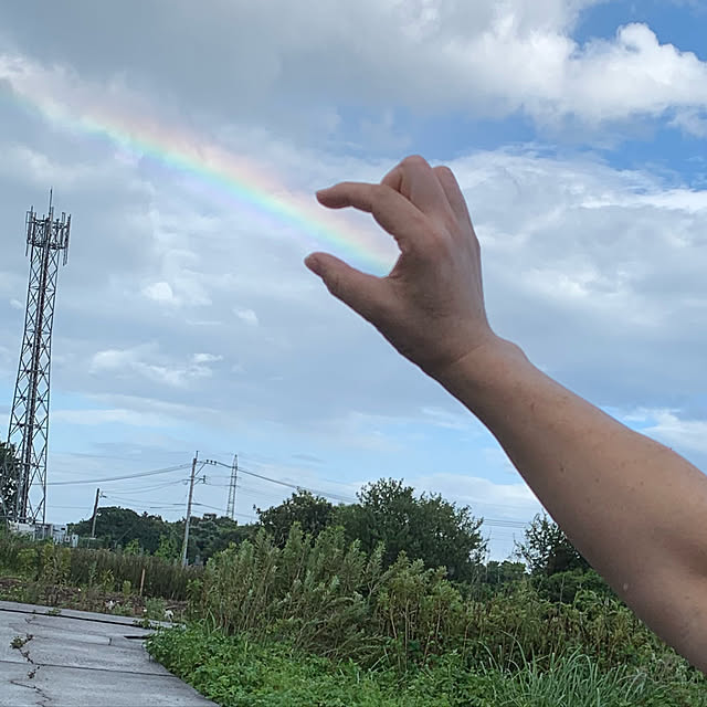 実例写真