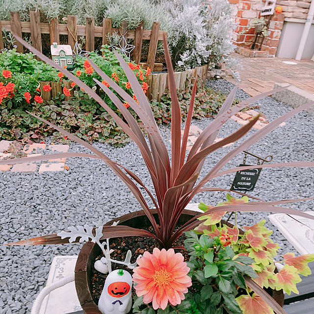 ayaさんの実例写真