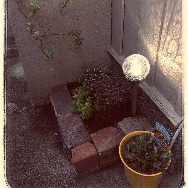 seroriさんの実例写真