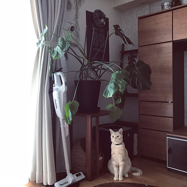 hiyupan88さんの実例写真