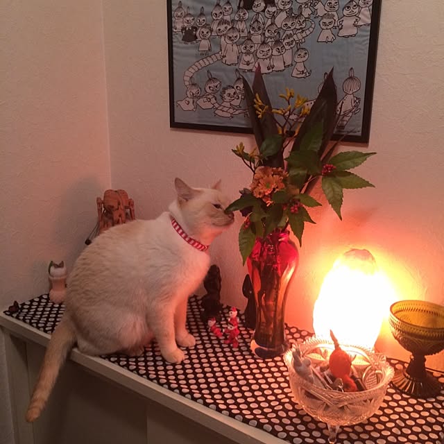 bobooooonさんの実例写真