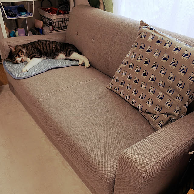 hiroさんの実例写真