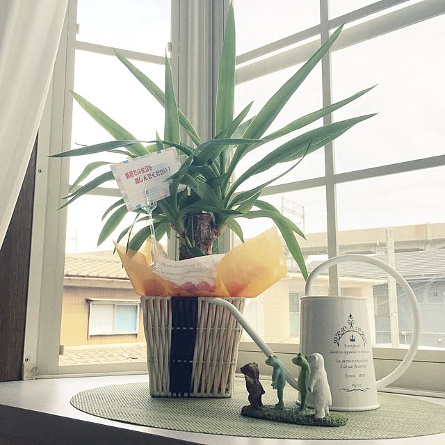 yusaさんの実例写真