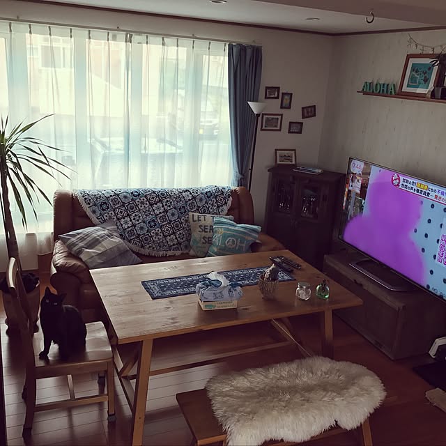 Momokaさんの実例写真