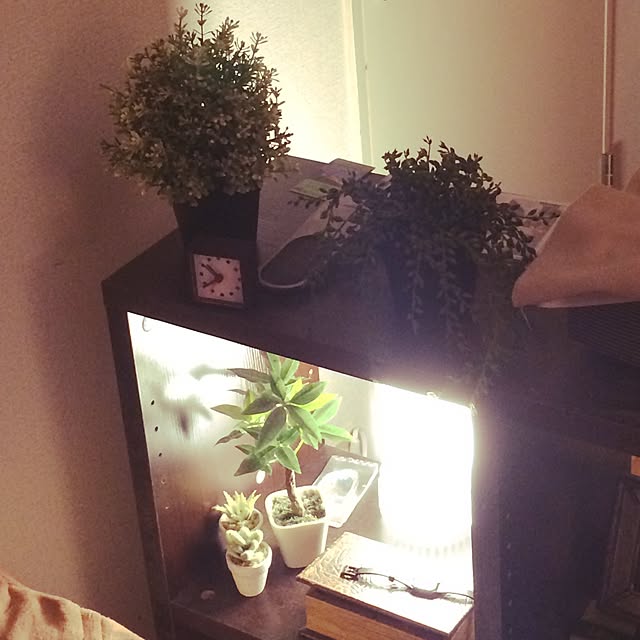 実例写真