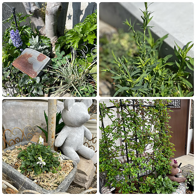 shiropenguinさんの部屋