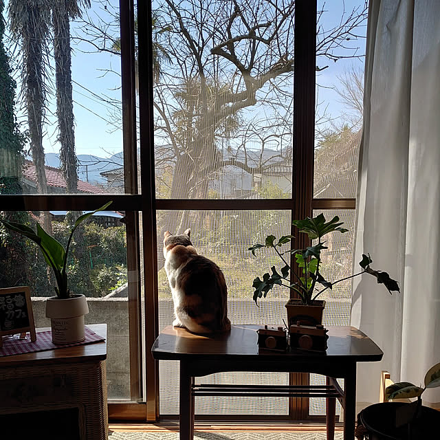 fukuさんの実例写真