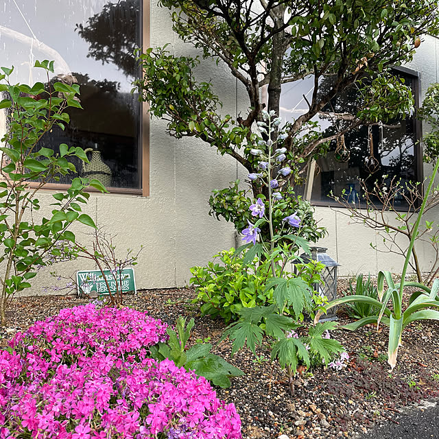 shin0719さんの実例写真