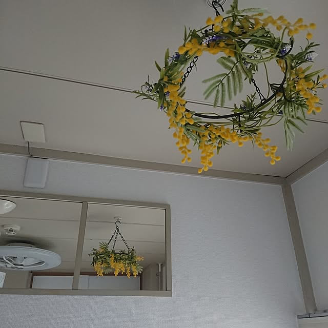 壁/天井/季節を楽しむ暮らし/ミモザ/ダイソーのアイアンサークルフック/ダイソーの造花...などのインテリア実例 - 2024-02-16 16:18:44