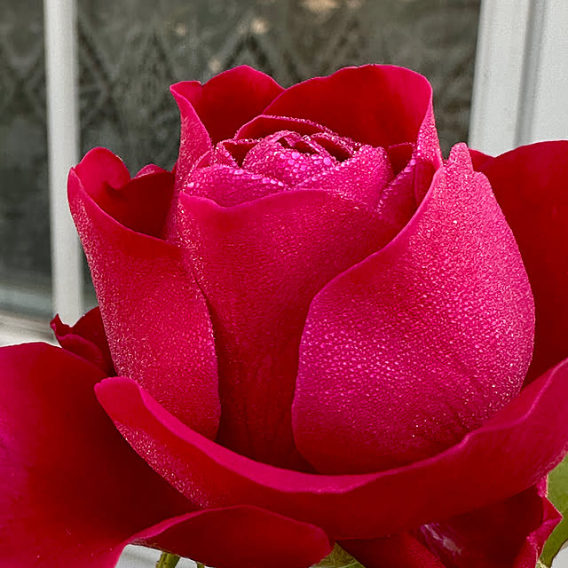 haruisabelさんの部屋