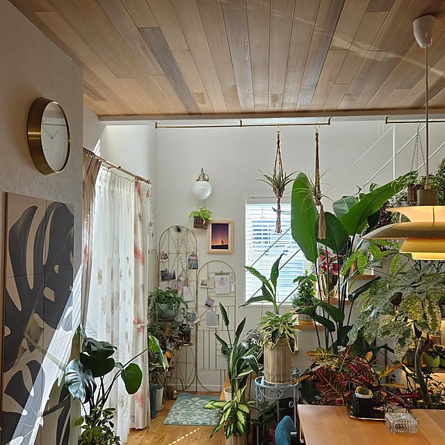 nonbiri_house_さんの部屋