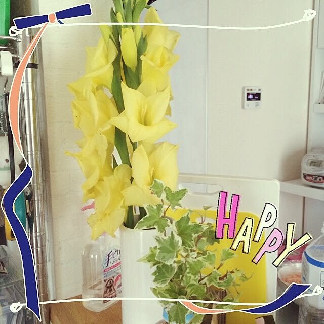 jamさんの実例写真