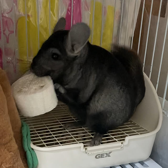 milkさんの実例写真